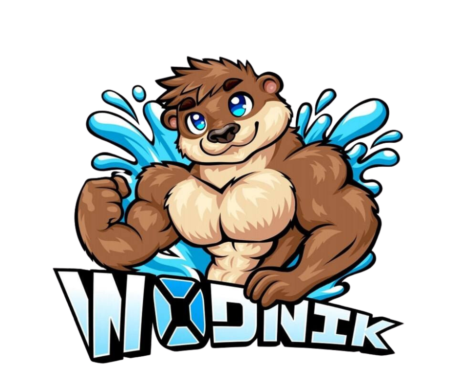 Projekt bez nazwy (1)